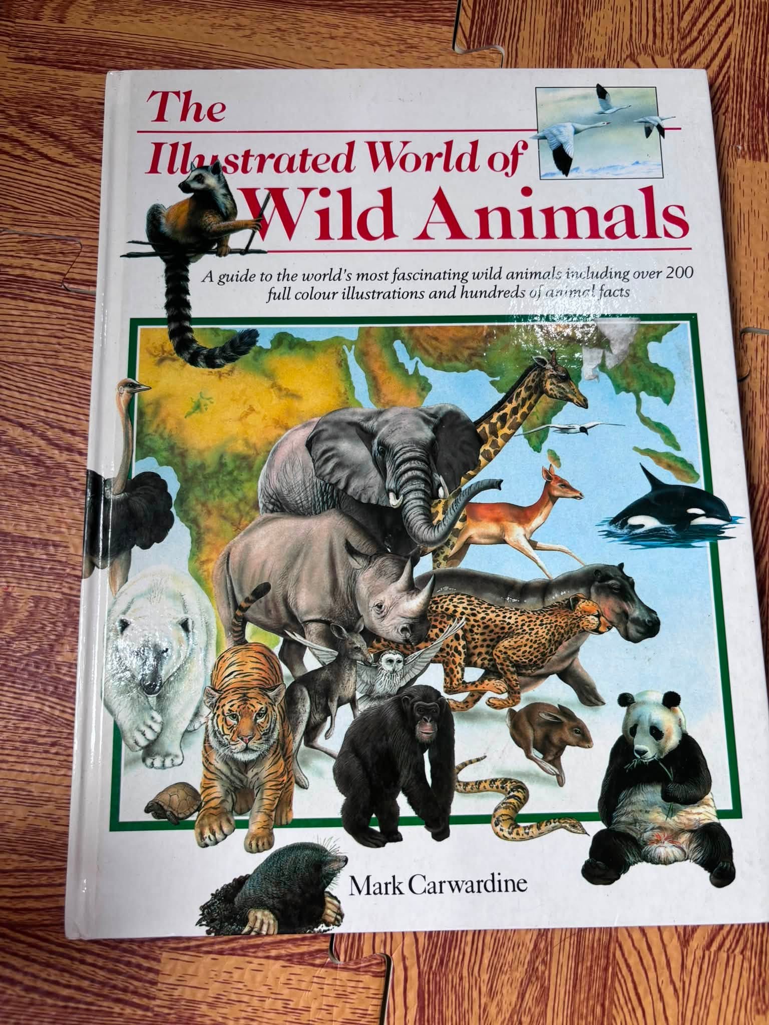The Illustrated World of Wild Animals