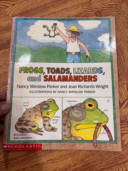 FROGS, TOADS, LIZARDS, AND SALAMANDERS  — ảnh 1