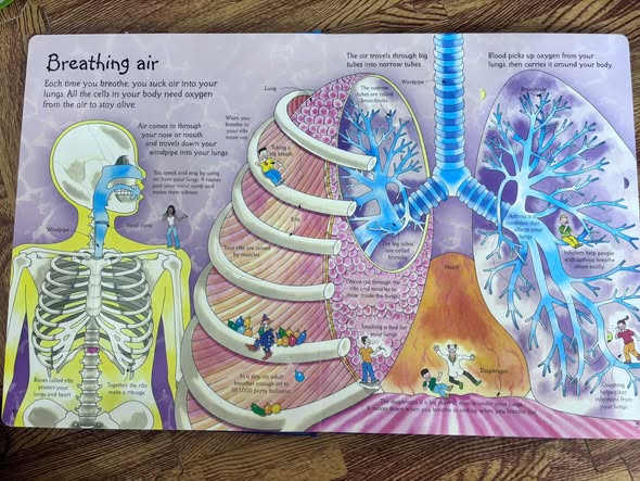SEE INSIDE YOUR BODY — ảnh 5