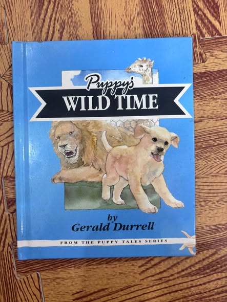PUPPY'S WILD TIME — ảnh 1