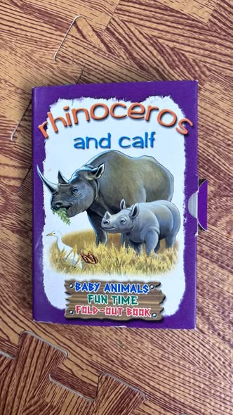 RHINOCEROS AND CALF (BABY ANIMALS FUN TIME FOLD-OUT BOOK)