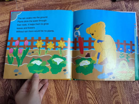 RAIN (BEAR FACTS) image 4