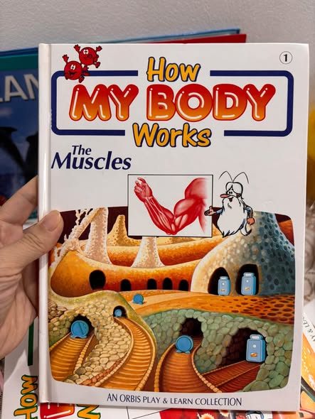 SERIES BÁCH KHOA SINH HỌC: HOW MY BODY WORKS  image 3