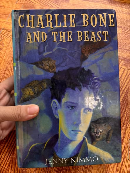 SET TIỂU THUYẾT PHÉP THUẬT: CHARLIE BONE (THE CHILDREN OF THE RED KING - JENNY NIMMO) — ảnh 3