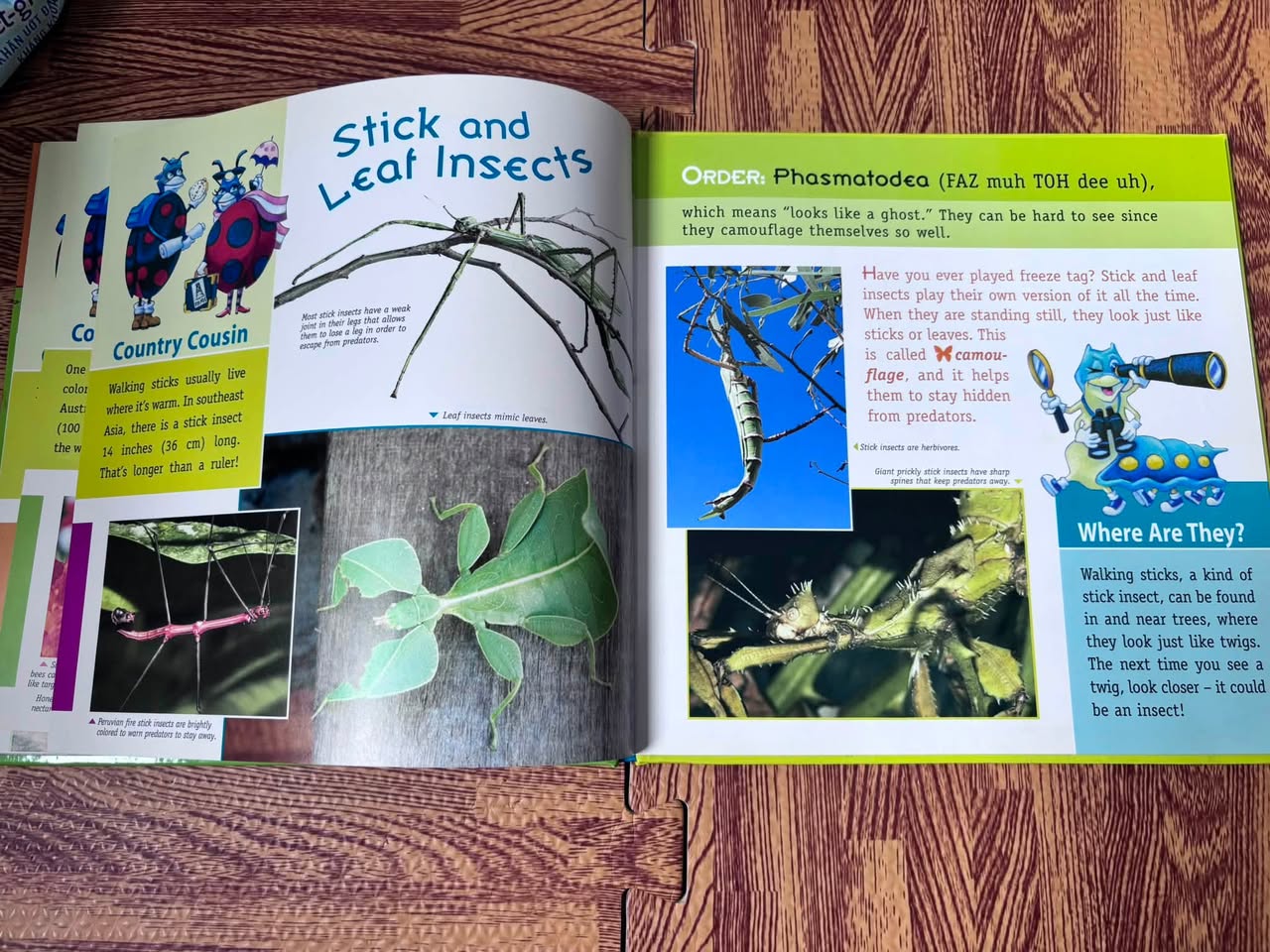 Don't Squash That Bug! The Curious Kid's Guide to Isnects image 2