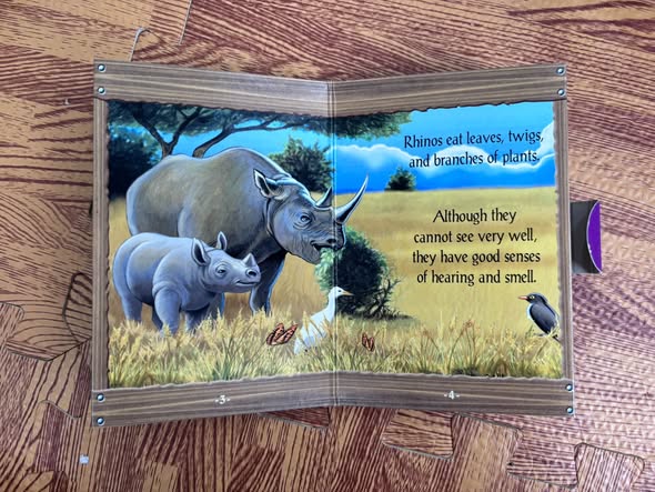 RHINOCEROS AND CALF (BABY ANIMALS FUN TIME FOLD-OUT BOOK) image 3