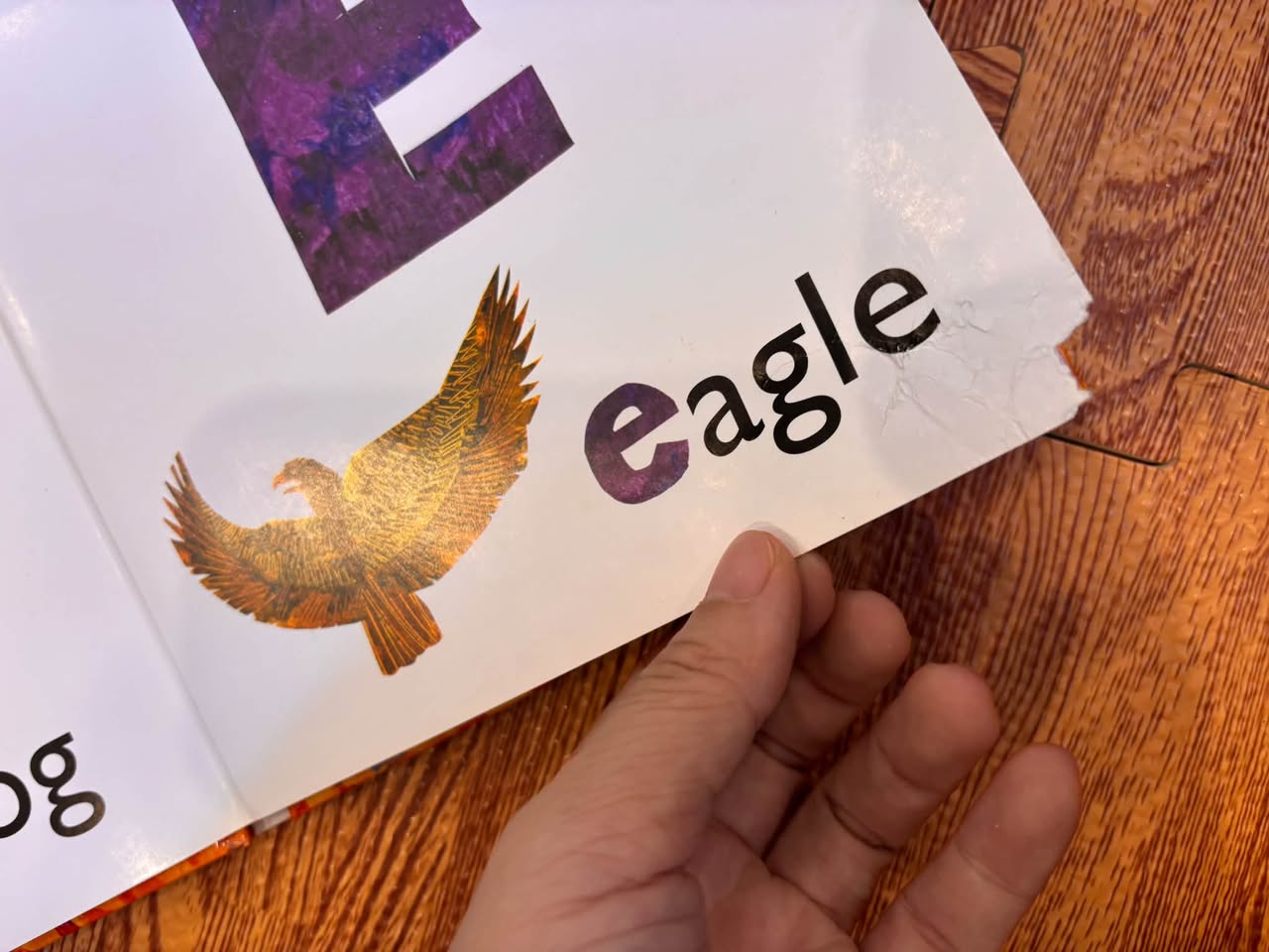 COMBO 3 CUỐN KINH ĐIỂN ERIC CARLE — ảnh 3