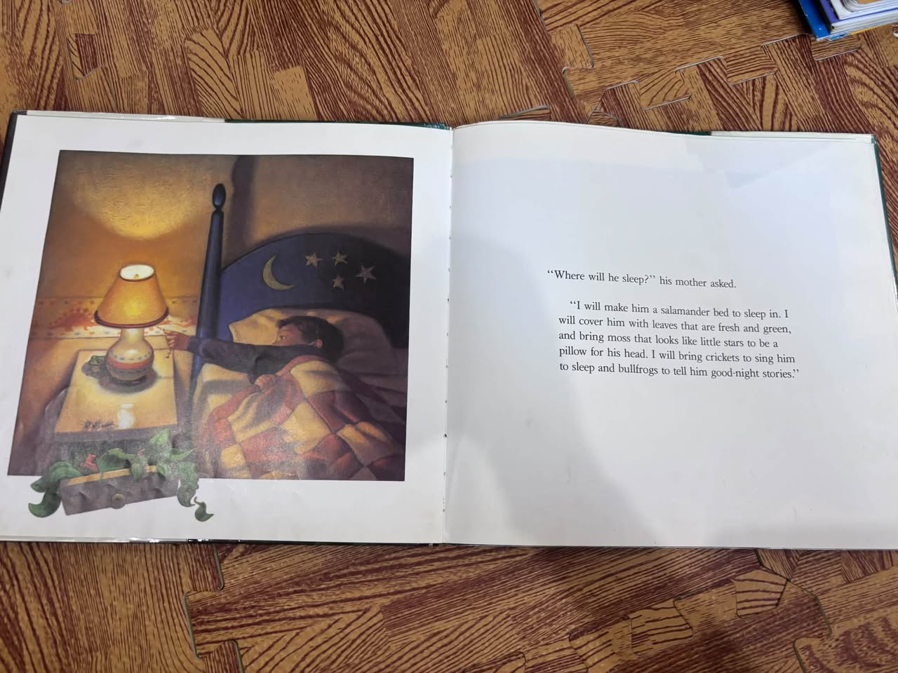 THE SALAMANDER ROOM — ảnh 2
