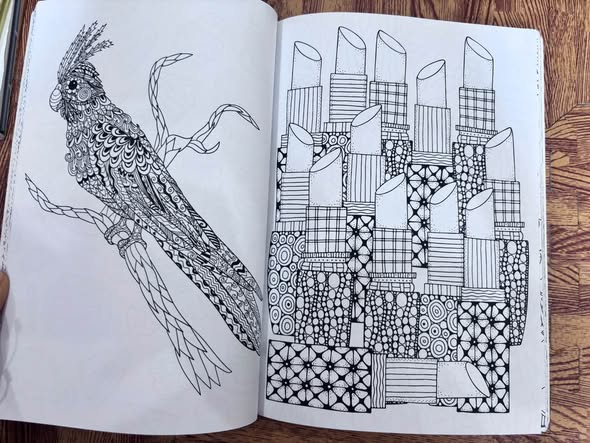 ADULT COLOURING BOOK (160 COLOURING PAGES) — ảnh 4