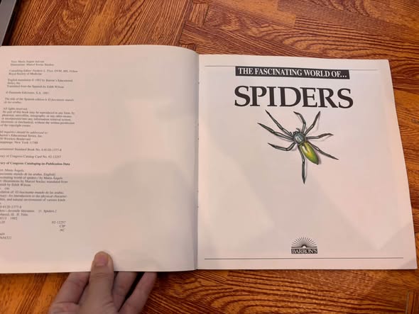 THE FASCINATING WORLD OF... SPIDERS image 3