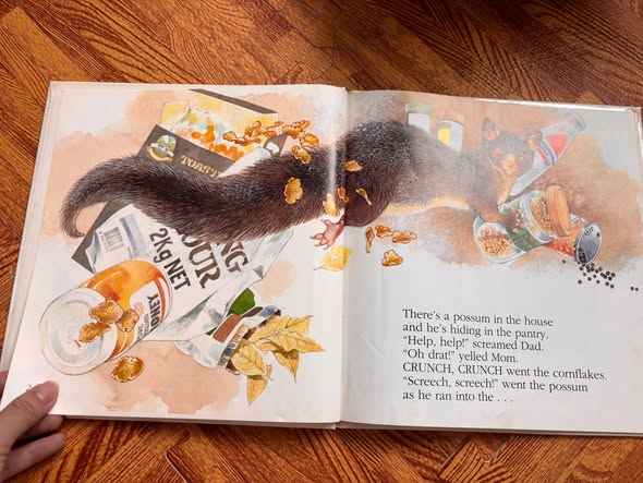 POSSUM IN THE HOUSE  — ảnh 4