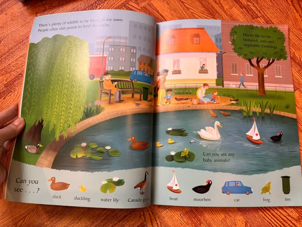 LOOK AND SAY WHAT YOU SEE IN THE TOWN — ảnh 3