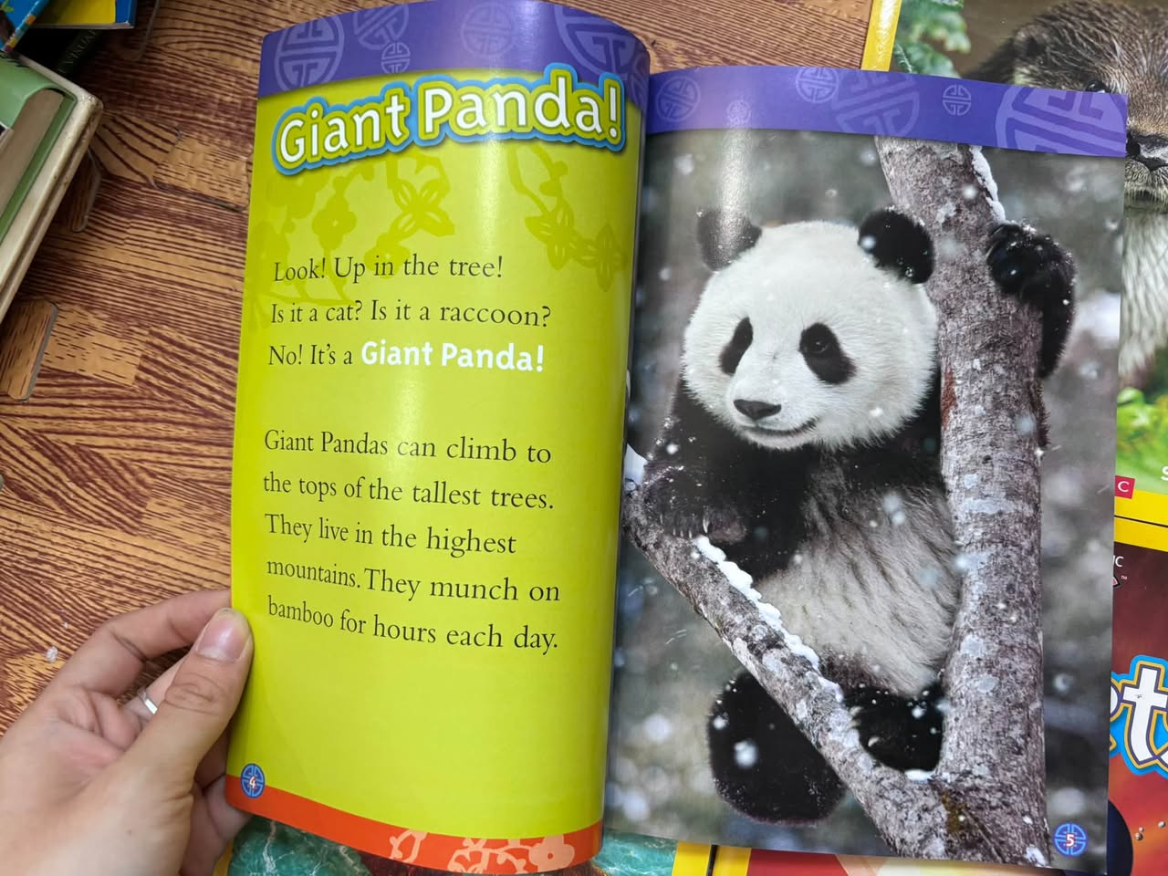 NATIONAL GEOGRAPHIC KIDS READERS (SET 4 CUỐN) — ảnh 2