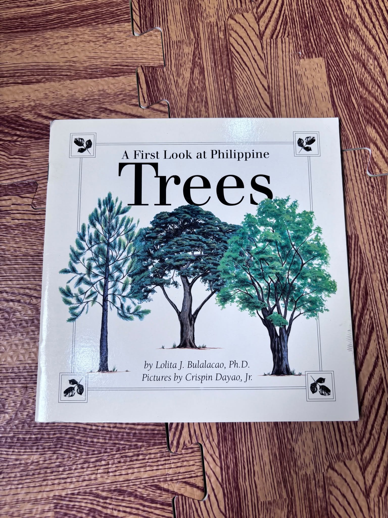 A First Look at Philippine Tree