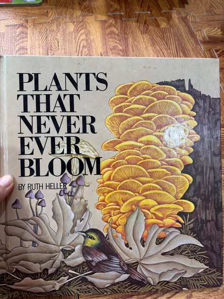 PLANTS THAT NEVER EVER BLOOM (RUTH HELLER)