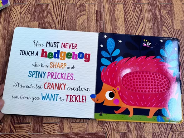 COMBO 2 CUỐN SÁCH TƯƠNG TÁC SILICONE: NEVER TOUCH A... (MAKE BELIEVE IDEAS)   — ảnh 6