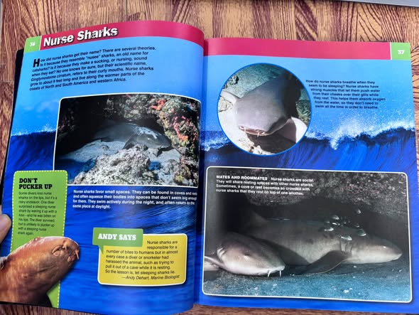 SHARKOPEDIA: THE COMPLETE GUIDE TO EVERYTHING SHARK — ảnh 3