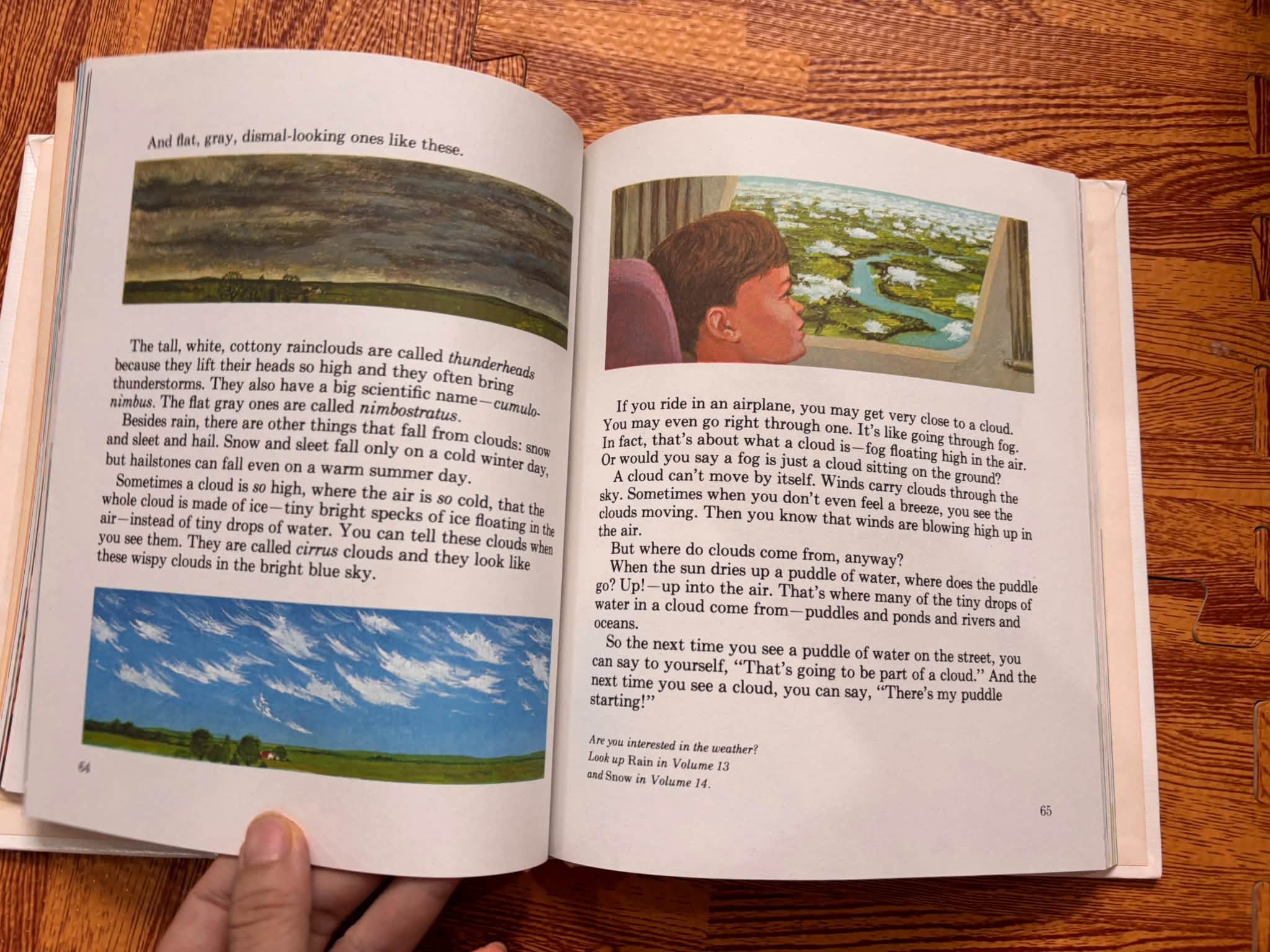 THE YOUNG CHILDREN'S ENCYCLOPEDIA - VOLUME 16: V-Z (BRITANNICA) image 5