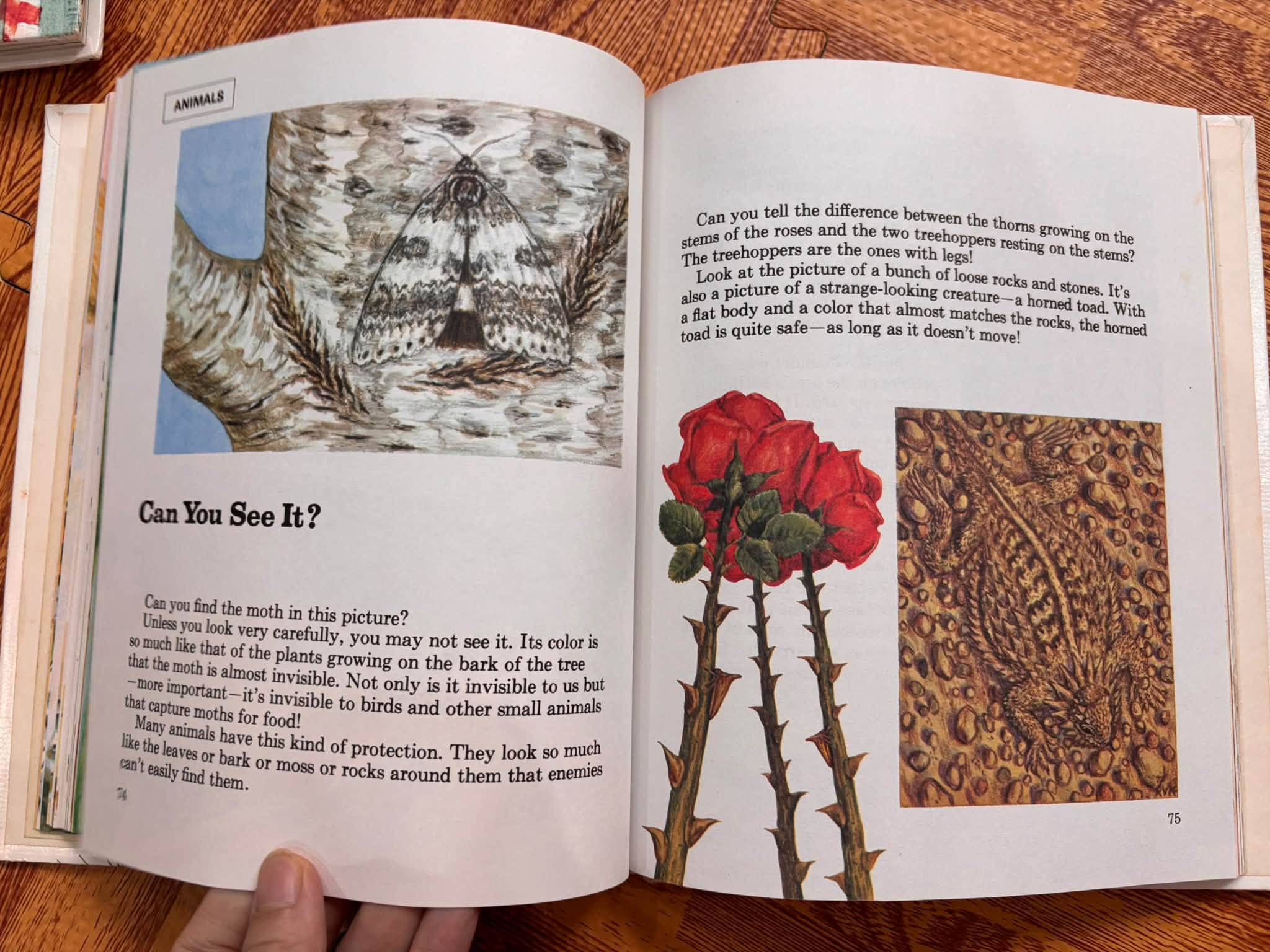 THE YOUNG CHILDREN'S ENCYCLOPEDIA - VOLUME 1: A (BRITANNICA) image 4