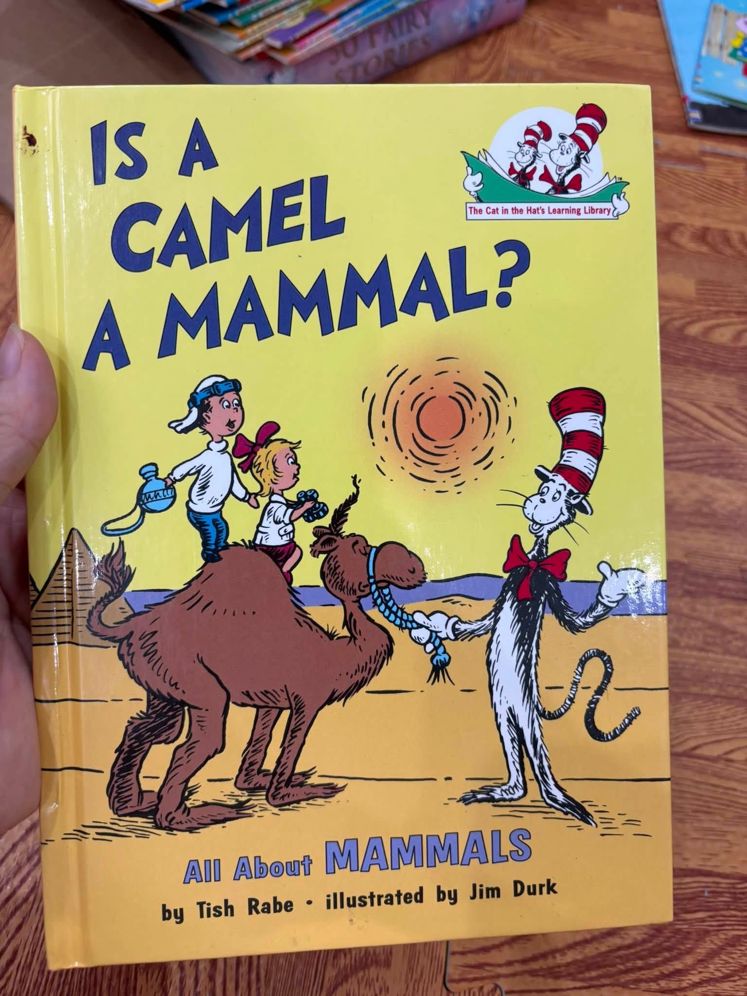 Is a Camel a Mammal?