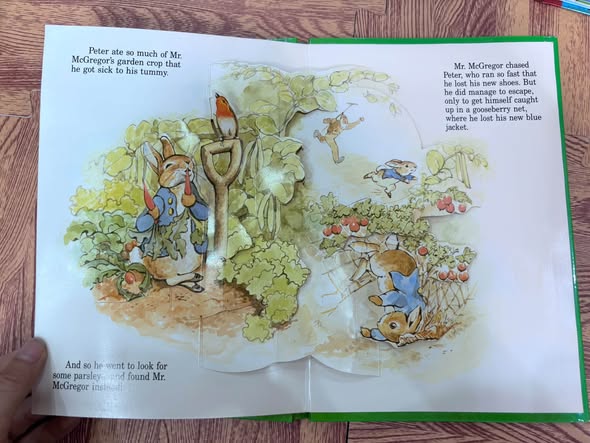 SET SÁCH DỰNG HÌNH POP-UP PETER RABBIT — ảnh 2