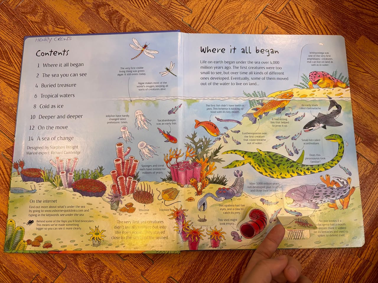 SEE UNDER THE SEA — ảnh 2