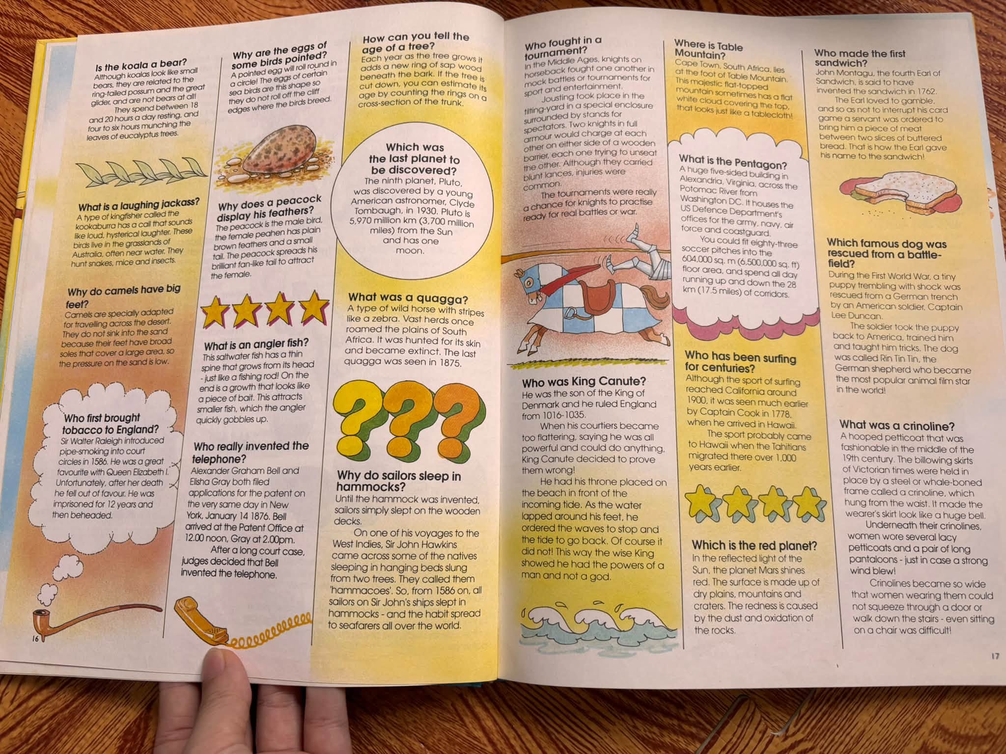 500 QUESTIONS AND ANSWERS: A TREASURY OF COLOURFUL AND FASCINATING FACTS   — ảnh 6