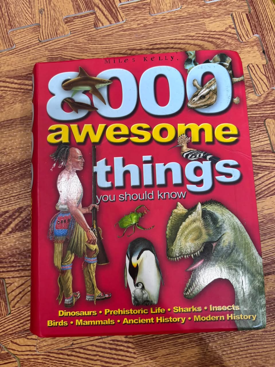 1000 AWESOME THINGS YOU SHOULD KNOW — ảnh 1