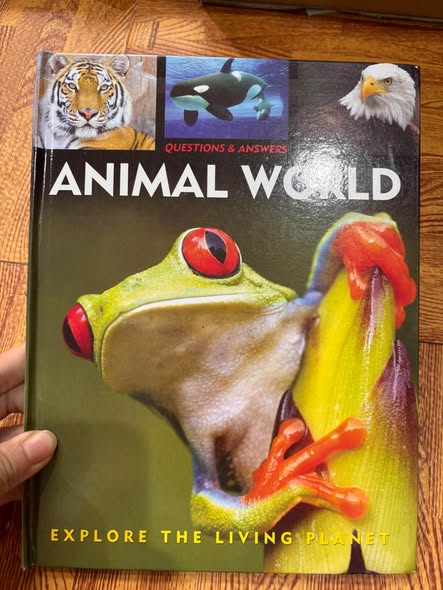 QUESTIONS & ANSWERS: ANIMAL WORLD  image 1