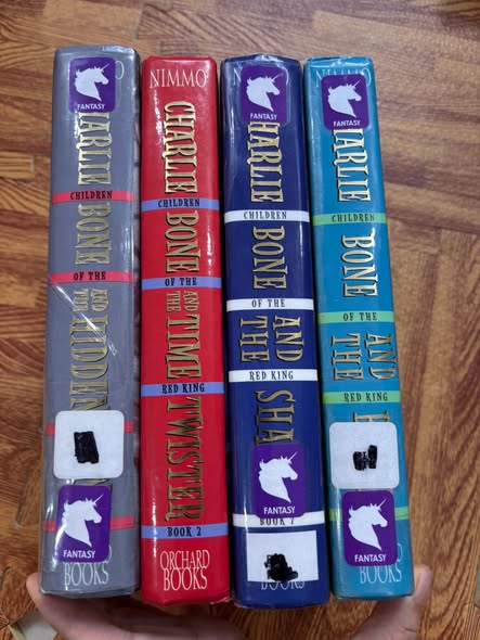 SET TIỂU THUYẾT PHÉP THUẬT: CHARLIE BONE (THE CHILDREN OF THE RED KING - JENNY NIMMO)