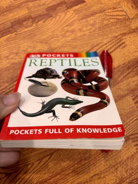 DK POCKETS: REPTILES — ảnh 5