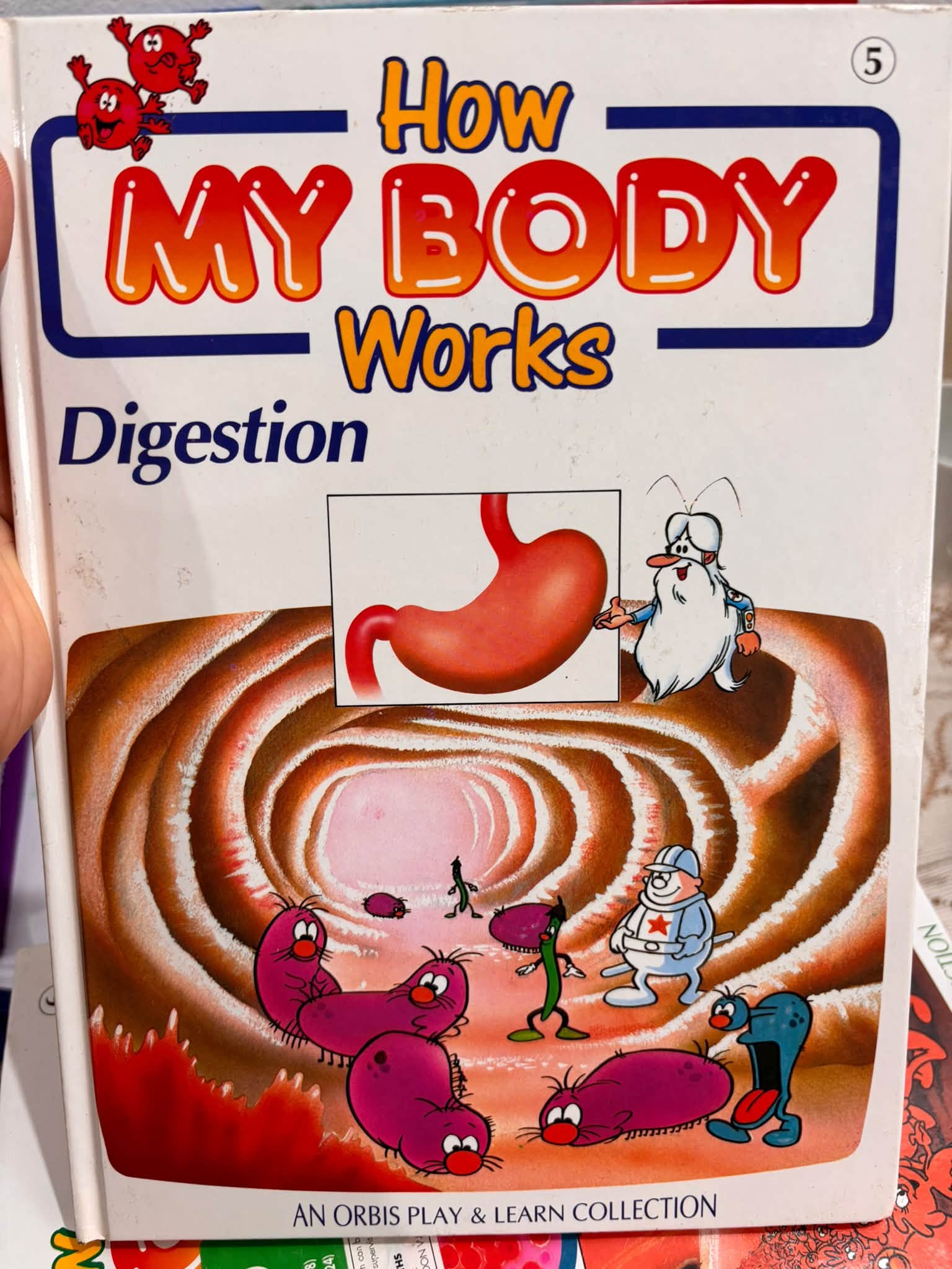 SERIES BÁCH KHOA SINH HỌC: HOW MY BODY WORKS  image 7