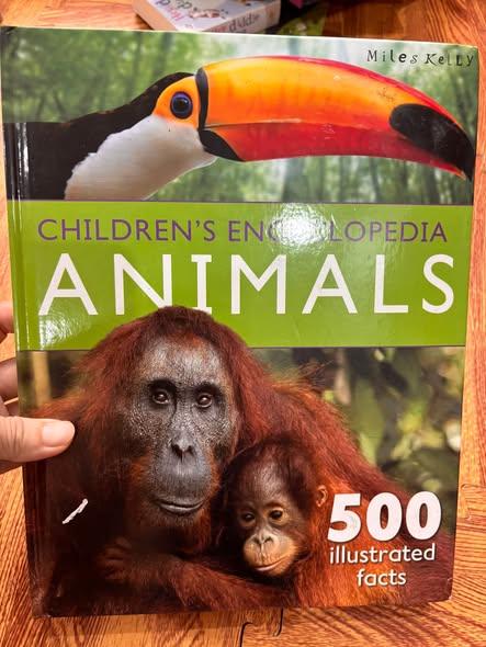 CHILDREN'S ENCYCLOPEDIA ANIMALS: 500 ILLUSTRATED FACTS 