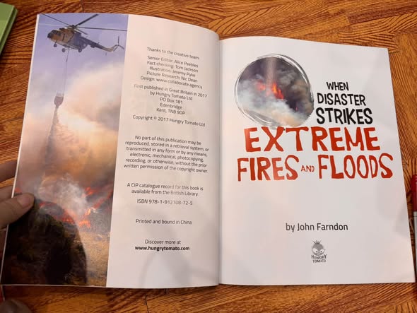 WHEN DISASTER STRIKES: EXTREME FIRES AND FLOODS — ảnh 2