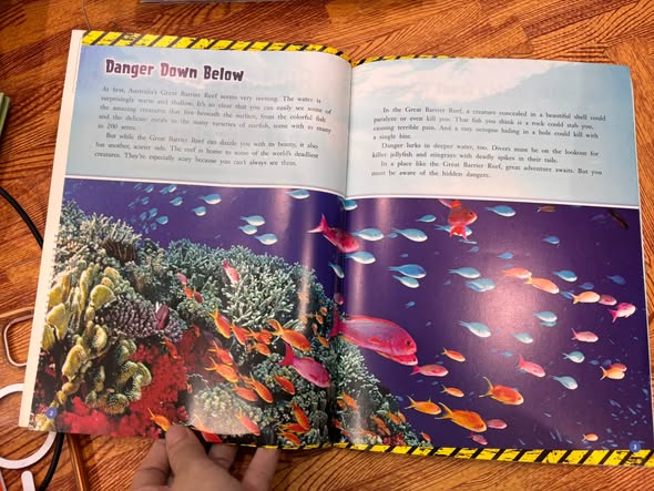 HIDDEN DANGERS OF THE GREAT BARRIER REEF ( — ảnh 5