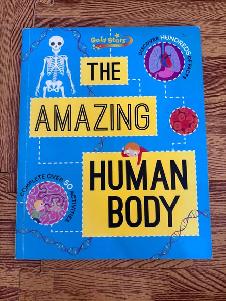 THE AMAZING HUMAN BODY — ảnh 1