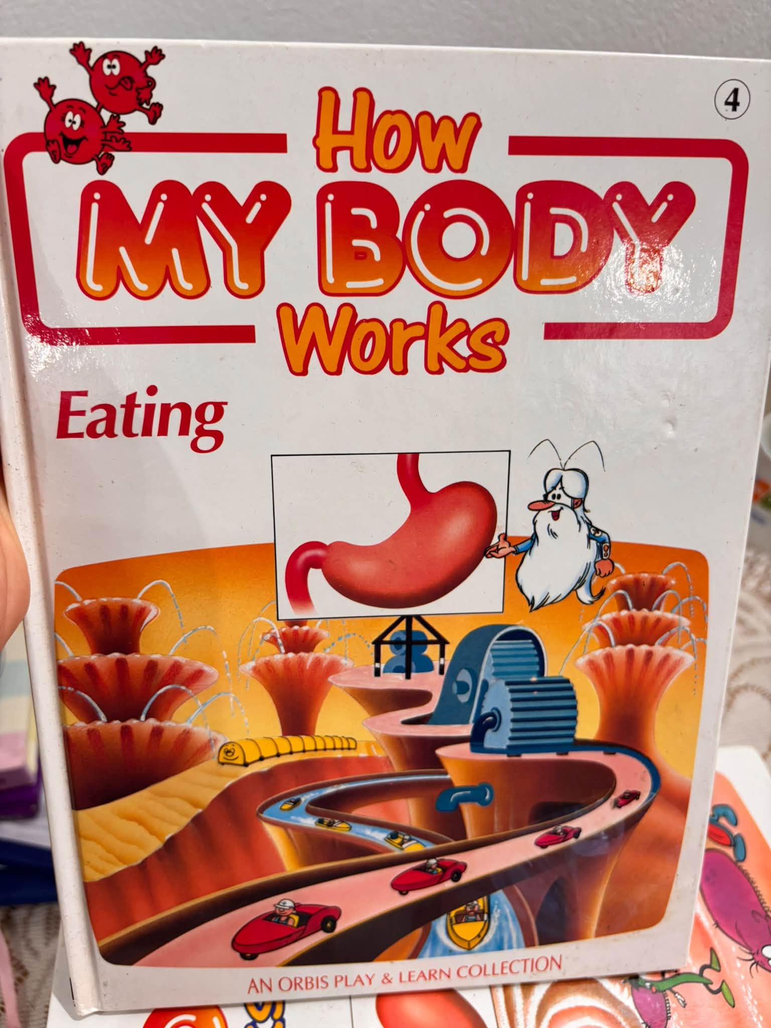 SERIES BÁCH KHOA SINH HỌC: HOW MY BODY WORKS  image 5