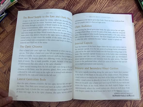 THE EYE: LEARNING HOW WE SEE — ảnh 5