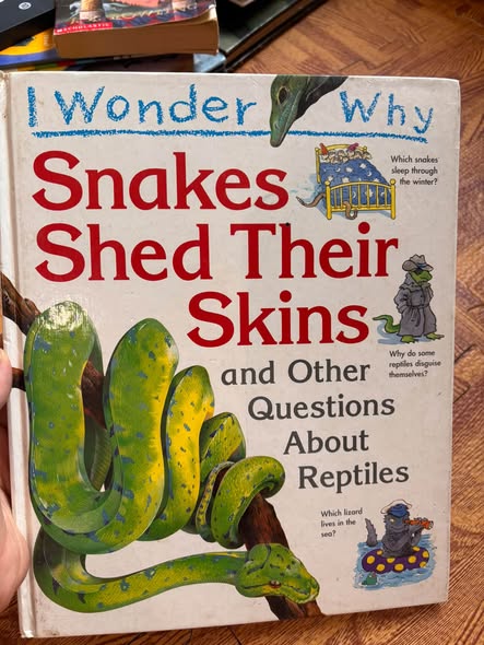 I WONDER WHY SNAKES SHED THEIR SKINS AND OTHER QUESTIONS ABOUT REPTILES (AMANDA O'NEILL)