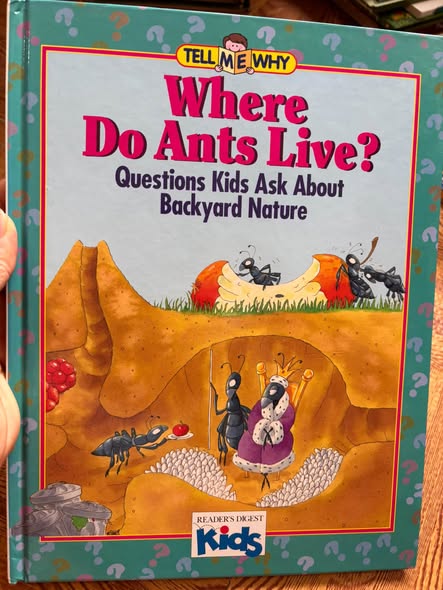 TELL ME WHY: WHERE DO ANTS LIVE? — QUESTIONS KIDS ASK ABOUT BACKYARD NATURE   — ảnh 1