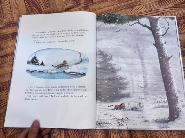 LITTLE POLAR BEAR, TAKE ME HOME! - HANS DE BEER — ảnh 3
