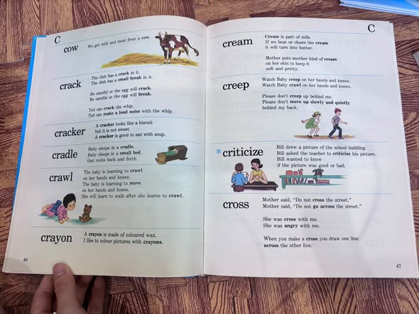 THE NEW COLOUR-PICTURE DICTIONARY FOR CHILDREN — ảnh 3