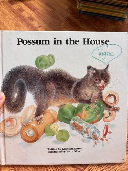 POSSUM IN THE HOUSE  — ảnh 1