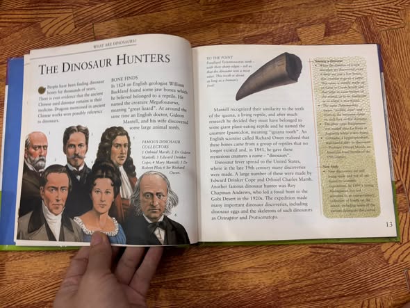 FANTASTIC FACTS ABOUT DINOSAURS — ảnh 5