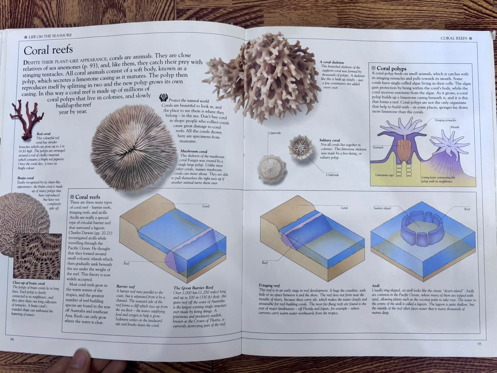 EYEWITNESS SCIENCE GUIDES: HOW NATURE WORKS — ảnh 2