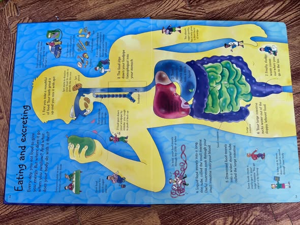 SEE INSIDE YOUR BODY — ảnh 3
