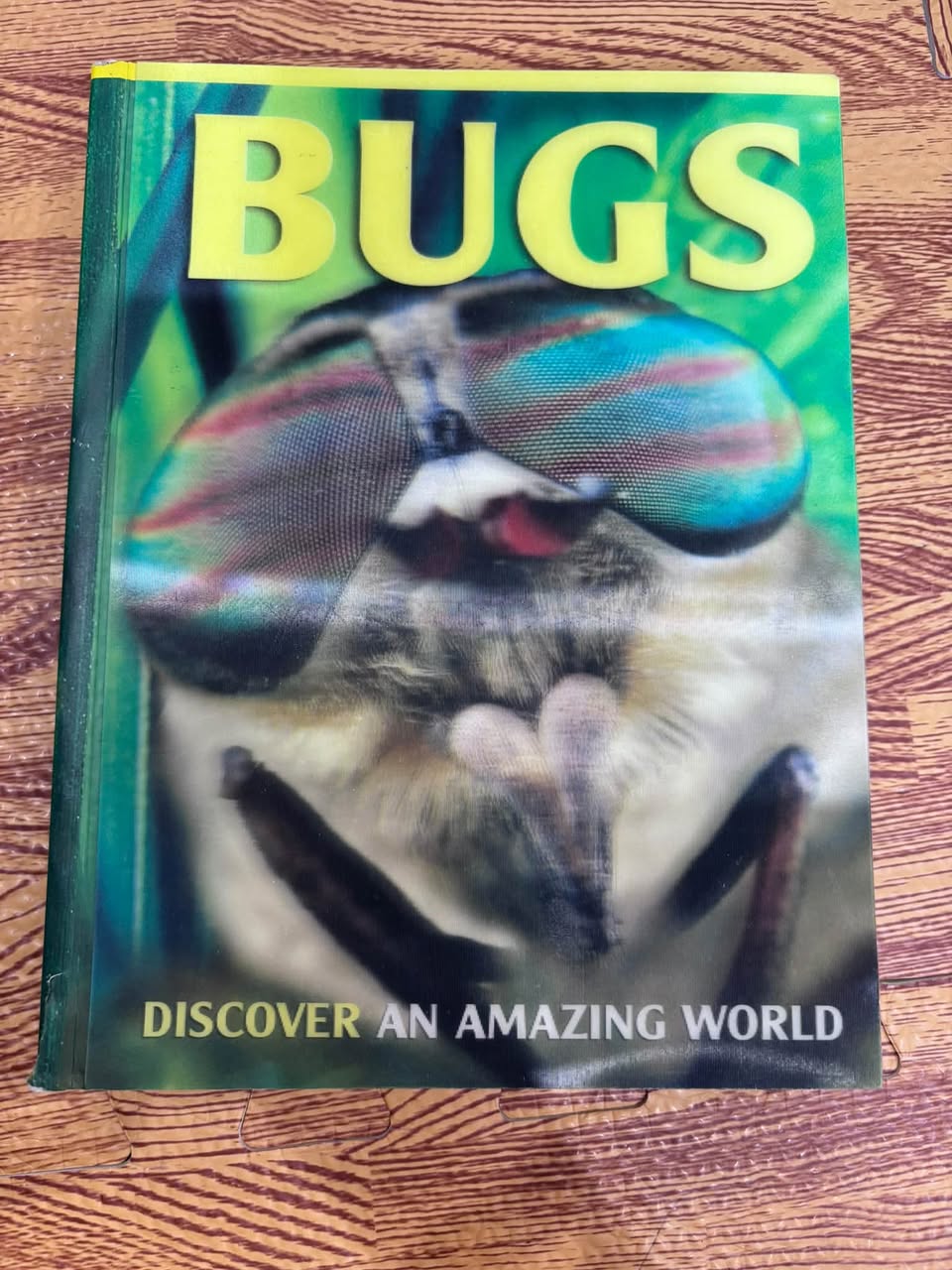 BUGS: DISCOVER AN AMAZING WORLD