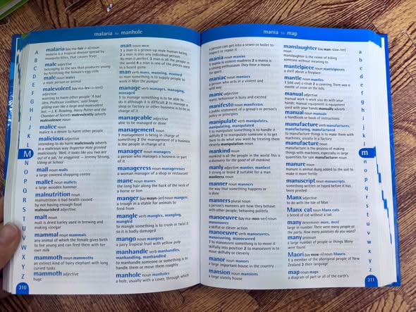 OXFORD PRIMARY DICTIONARY (NEW ILLUSTRATED EDITION) — ảnh 4
