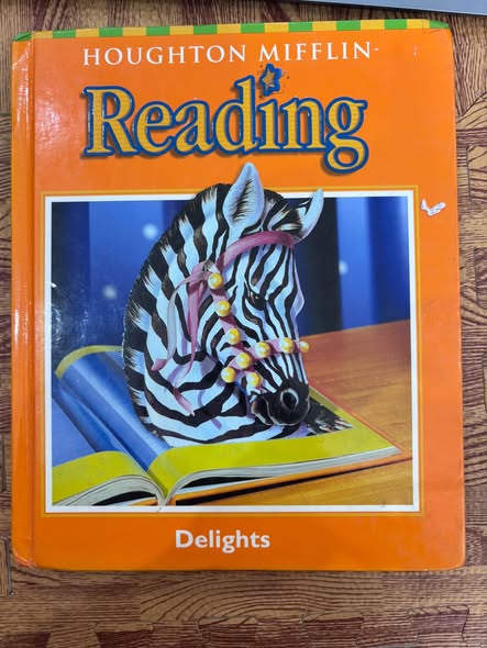 HOUGHTON MIFFLIN READING: DELIGHTS — ảnh 1