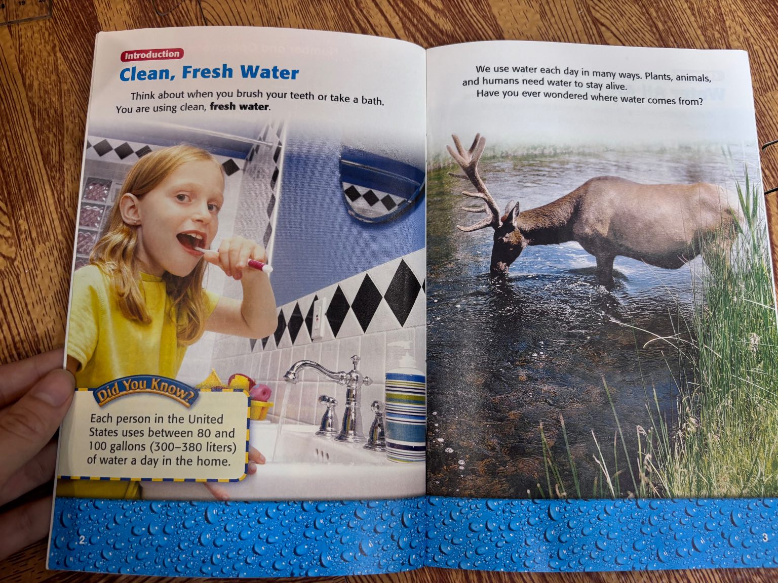 Water in Our World — ảnh 3